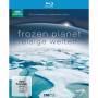 - - Frozen Planet-Eisige Welten-Komp.ungekrzte Serie [Regio free (0)]