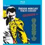 Queen + - The Freddie Mercury Tribute Concert (BluRay) [DE-Version, Regio 2/B]