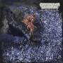 Of Feather And Bone - Sulfuric Disintegration