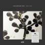 Tom Arthurs - One Year (180 Gramm Vinyl)