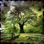 Your Tomorrow Alone - Ordinary Li(v)es