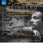 Rostislav Krimer / East-West Chamber Orchestra - Chamber Sinfonien 2 and 4