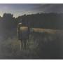 Danny Norbury - Light In August