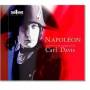 The Wren Orchestra - Napoleon