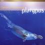Gerard Presencer - PLATYPUS