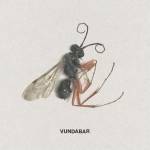 Vundabar - Good Old (Citrus Coloured Vinyl)
