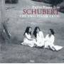 Schubert / Fujita Piano Trio - Two Piano Trios