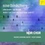 Philipp Ahmann / Raschr Saxophone Quartet - Nine(Birds)Here