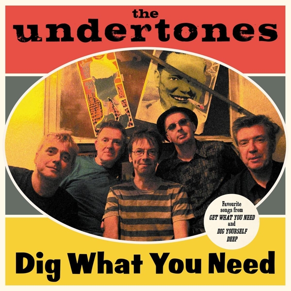 The Undertones -Dig What You Need (Best Of 2003-2007) -Dimple