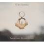 Wim Mertens - Sonorous Resonances