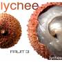 RAMBUTAN FRUIT - FRUIT 3-LYCHEE