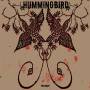 Hummingbird - Prisoner