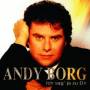 Andy Borg - Ich Sag Ja Zu Dir