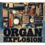 Organ Explosion - Organ Explosion