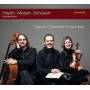 Haydn Chamber Ensemble - Klaviertrios