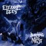 Eternal Lies - Burning The Nest