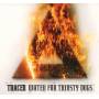 Tracer - Water For Thirsty Dogs (Digipak)