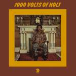 John Holt - 1000 Volts of Holt