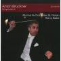Remy Ballot / Altomonte Orch. St. Florian - Sinfonie 9