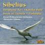 Gibson / Royal Philharmonic Orchestra - Sibelius Sinfonie 1