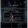 Johann Sebastian Bach - Complete Brandenburg Concertos