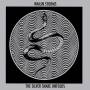Wailin Storms - Silver Snake Unfolds