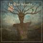 In The Woods - Diversum (Brown/White Vinyl)