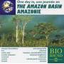 V / a - Amazon Basin