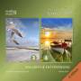 Ronny Matthes / Meditationsmusik / Chillout - Wellness & Entspannung (3 & 4)-Gemafrei (2 CDs)