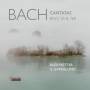 Potter / van Doeselaar / Il Gardellino - Kantaten BWV 35,564 & 169