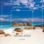 Sayata - Natural Spirits