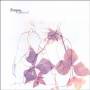 Brazen - Orphaned