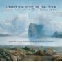 Soon-Mi Chung / Henning Kraggerud / Oslo Camerata - Under the Wing of the Rock