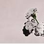John Legend - Love In The Future