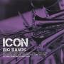 Big Band Icon / Various (can) - Big Band Icon / Various