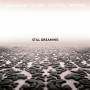 Redman, Joshua feat. Miles, Ron / Scott Colley & A - Still Dreaming