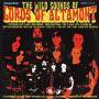 The Lords Of Altamont - The Wild Sounds Of The Lords Of Altamont