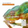 Edgar Knecht - Personal Seasons (180 Gramm Vinyl)