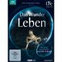 - - Life-Das Wunder Leben-Komplette Serie [Regio free (0)]