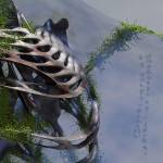 Jason Doell - Becoming in Shadows of Being Touched