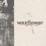 Waxflower - We Might Be Alright
