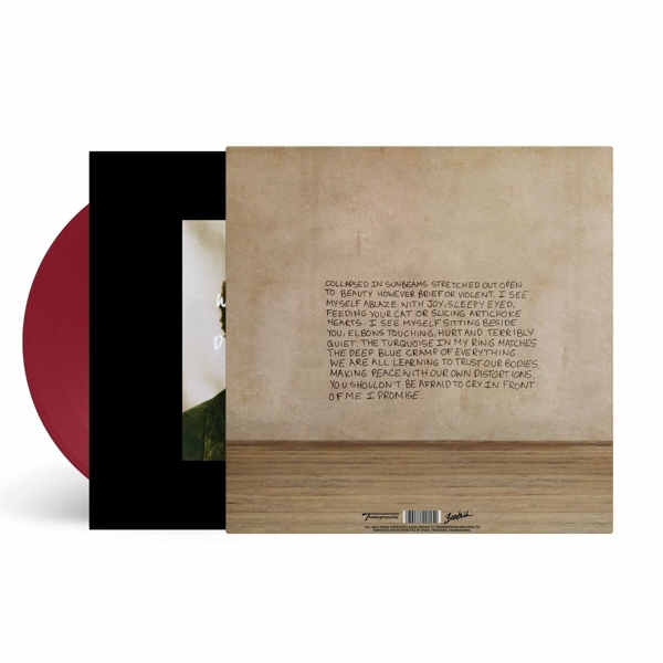 Collapsed In Sunbeams (Ltd.Ed.)(LP+ MP3)(Col.) 1