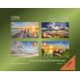 Ronny Matthes / Meditationsmusik / Chillout - Wellness & Entspannung (1-4)-Gemafrei (4 CDs)