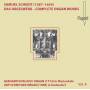 Thomas Meyer-Bauer - Scheidt Organ Works Vol.8