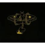 David Gray - Gold in a Brass Age