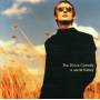Divine Comedy - A SECRET HISTORY-THE BEST OF