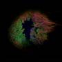 Francisco Lpez - Hidden Island Music (Untitled #398)