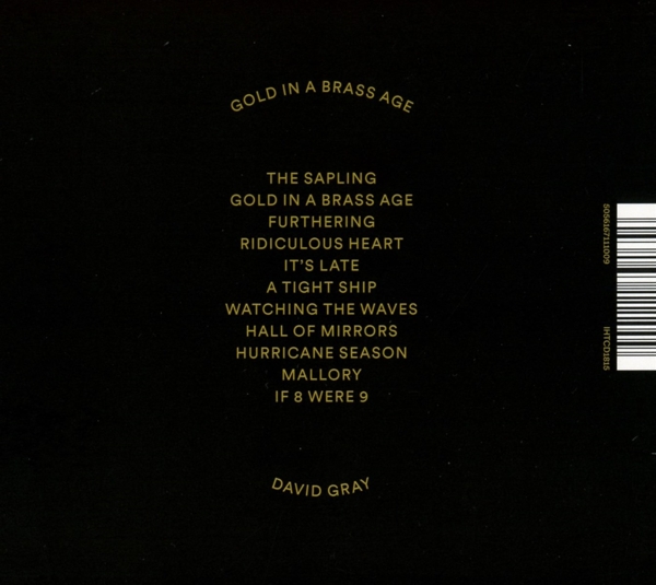 Gold in a Brass Age 1