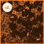 Downliners Sekt - Silent Ascent
