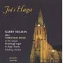 Karin Nelson - Christmas In Haga Church